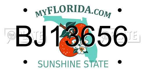 BJ13656 Florida License Plate
