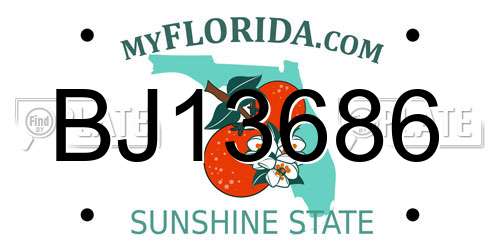 BJ13686 Florida License Plate