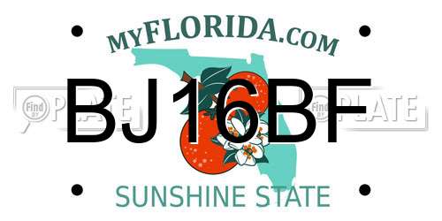 BJ16BF Florida License Plate