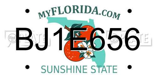 BJ1E656 Florida License Plate