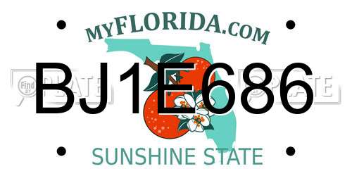 BJ1E686 Florida License Plate