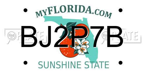 BJ2P7B Florida License Plate