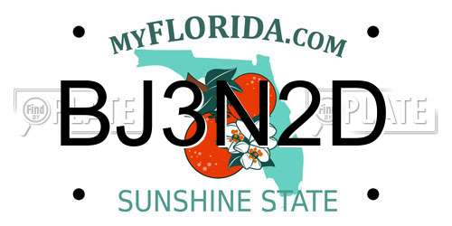 BJ3N2D Florida License Plate