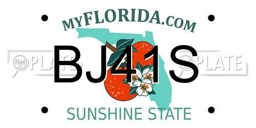 BJ41S Florida License Plate