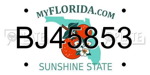BJ45853 Florida License Plate