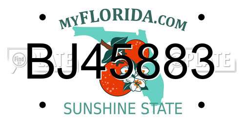 BJ45883 Florida License Plate