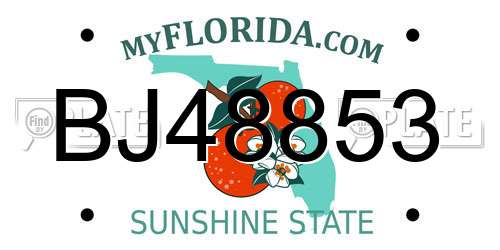 BJ48853 Florida License Plate