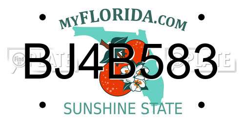 BJ4B583 Florida License Plate