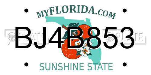 BJ4B853 Florida License Plate