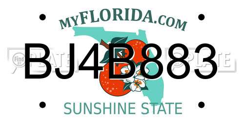 BJ4B883 Florida License Plate