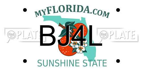 BJ4L Florida License Plate