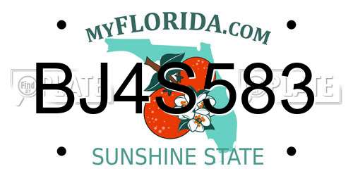 BJ4S583 Florida License Plate