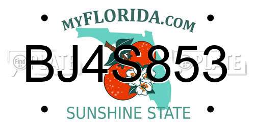 BJ4S853 Florida License Plate
