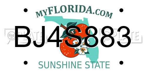 BJ4S883 Florida License Plate