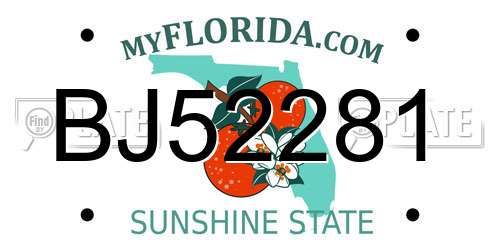 BJ52281 Florida License Plate
