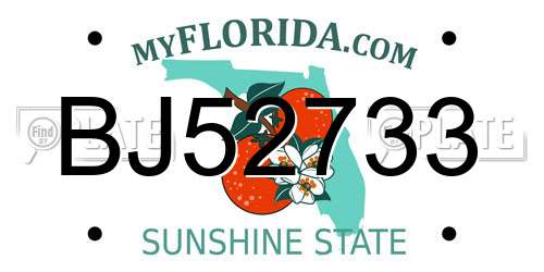 BJ52733 Florida License Plate