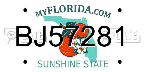 BJ57281 Florida License Plate