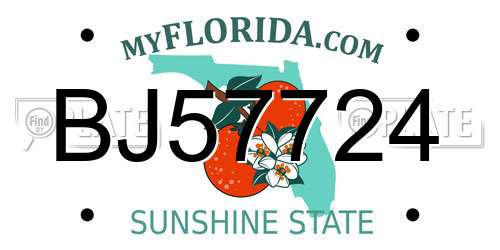 BJ57724 Florida License Plate