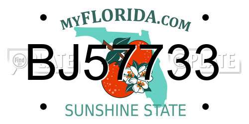 BJ57733 Florida License Plate