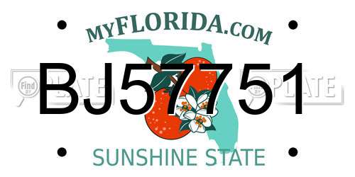 BJ57751 Florida License Plate