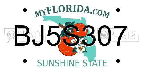 BJ5S307 Florida License Plate