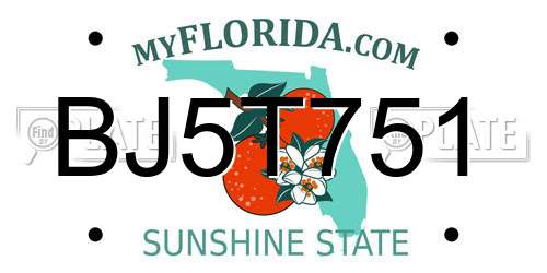 BJ5T751 Florida License Plate