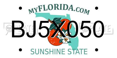 BJ5X050 Florida License Plate
