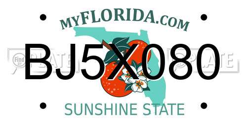 BJ5X080 Florida License Plate