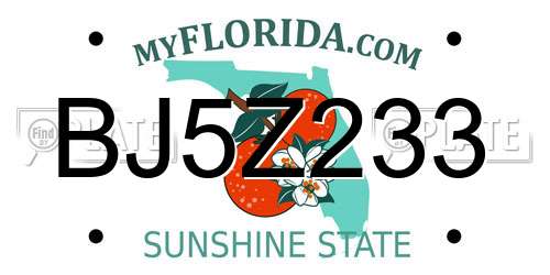 BJ5Z233 Florida License Plate