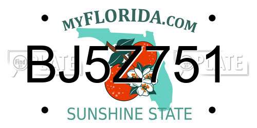 BJ5Z751 Florida License Plate