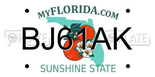 BJ61AK Florida License Plate