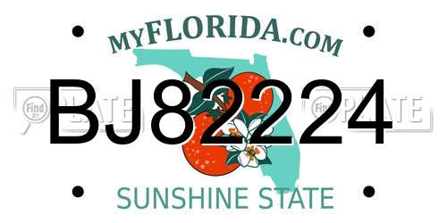 BJ82224 Florida License Plate