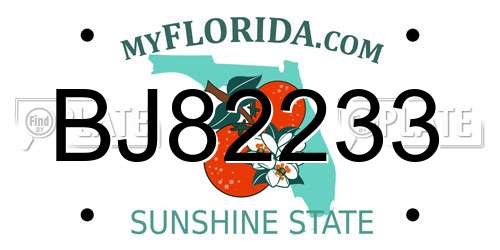 BJ82233 Florida License Plate