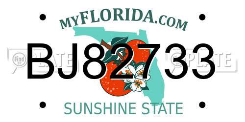 BJ82733 Florida License Plate