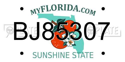 BJ85307 Florida License Plate
