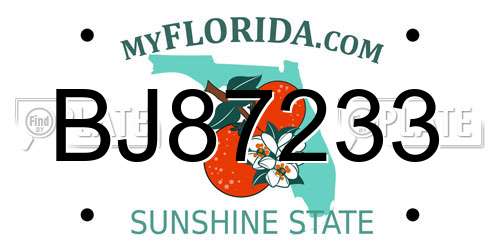 BJ87233 Florida License Plate