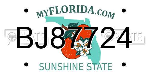 BJ87724 Florida License Plate