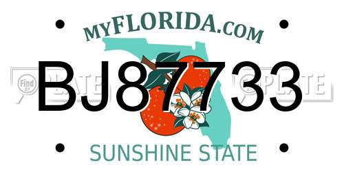 BJ87733 Florida License Plate