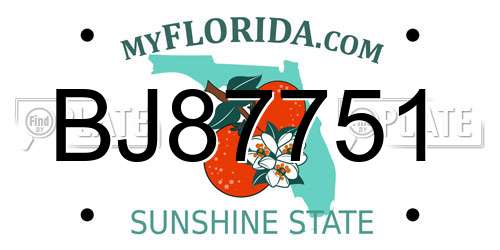 BJ87751 Florida License Plate