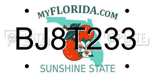 BJ8T233 Florida License Plate