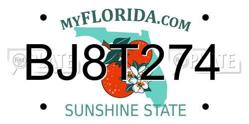 BJ8T274 Florida License Plate