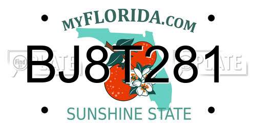 BJ8T281 Florida License Plate