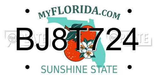 BJ8T724 Florida License Plate