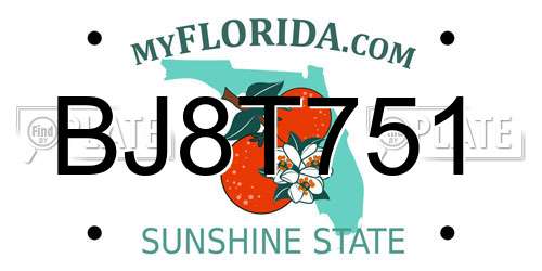 BJ8T751 Florida License Plate