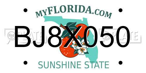 BJ8X050 Florida License Plate