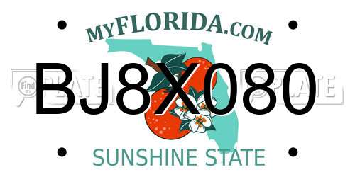 BJ8X080 Florida License Plate