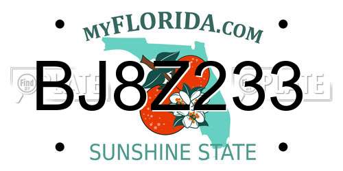 BJ8Z233 Florida License Plate