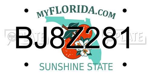 BJ8Z281 Florida License Plate