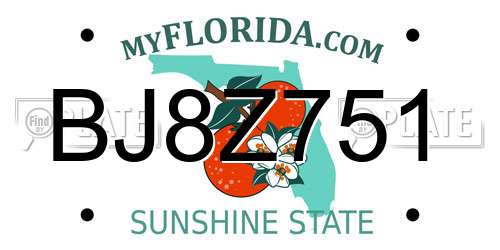 BJ8Z751 Florida License Plate