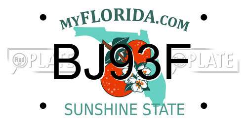 BJ93F Florida License Plate